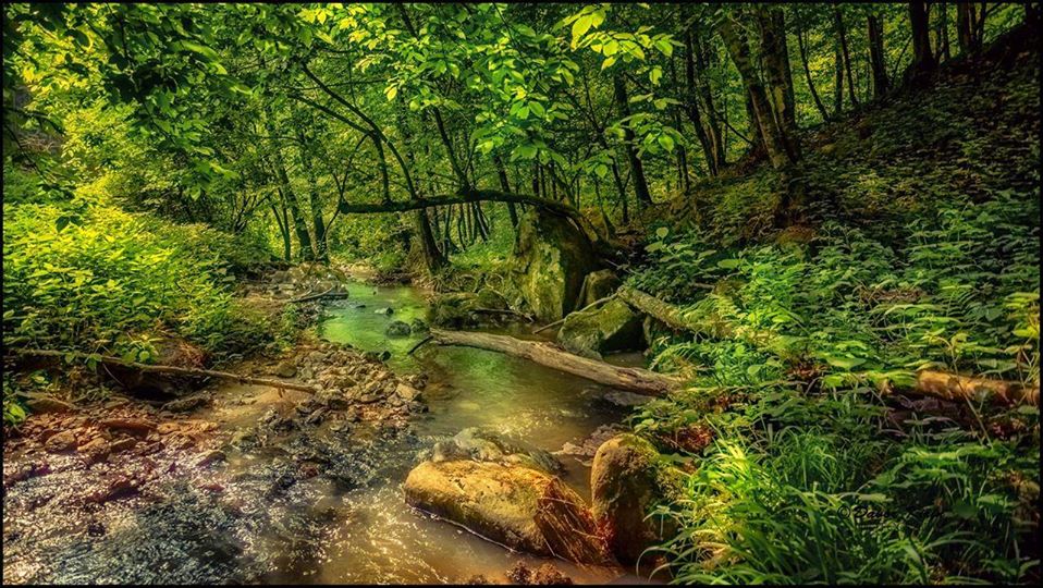 FOTO BAJKA Čarobna Moslavina kroz objektiv Davora Kirina