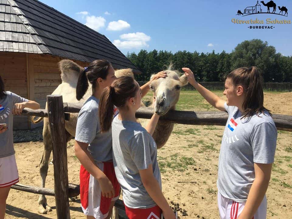 HRVATSKA SAHARA Vesela životinjska ekipa ponovno vas čeka!