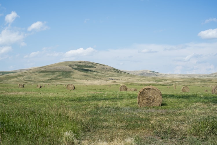 PRODAJA NEKRETNINA Poljoprivredno gospodarstvo ostalo bez kupca