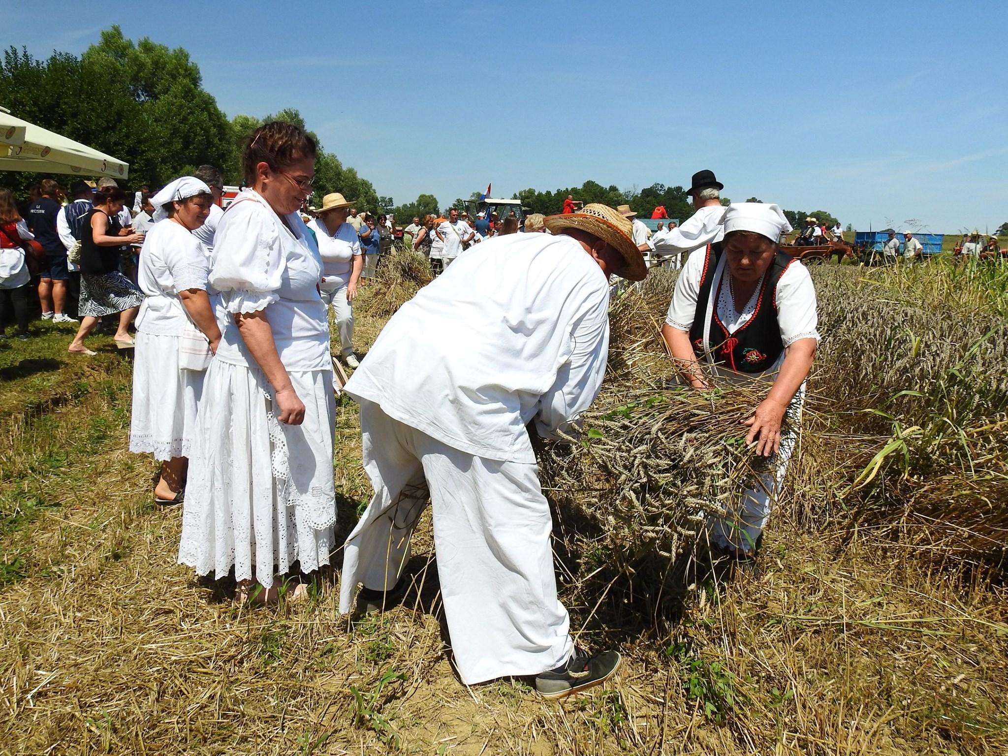 PRIKAZ ŽETVE Velikogrđevčani zaživjeli svoju tradiciju