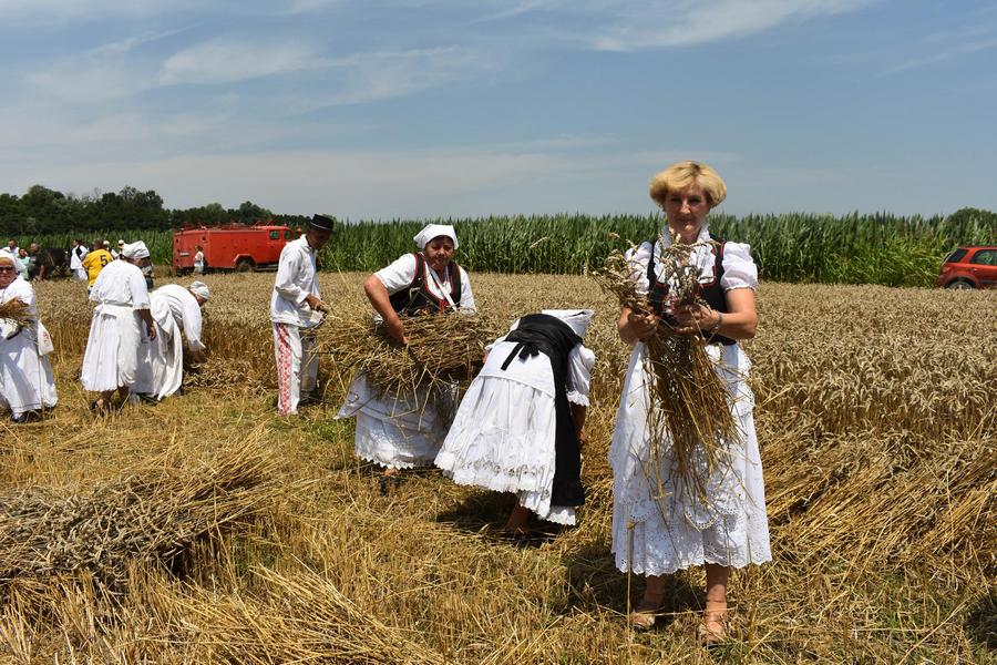 POTPORA UDRUGAMA Općina ni ove godine nije smanjivala sredstva