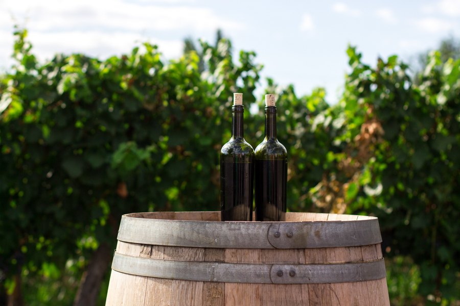MINI LABORATORIJ Općinska Udruga sada može analizirati vina