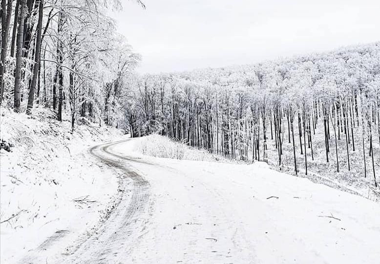 Spašeni mladi planinari na Papuku