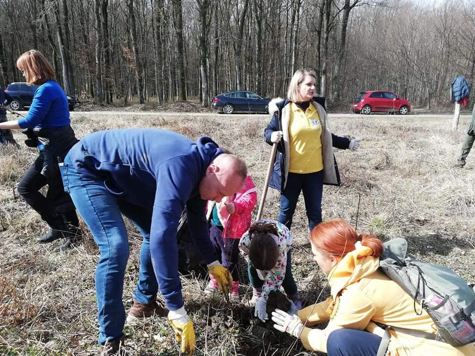 Skupljala se sredstva za sondu i posadilo preko tisuću mladica hrasta