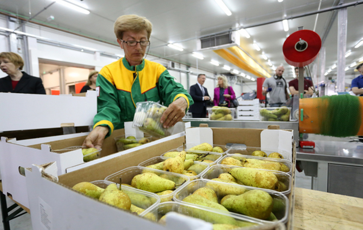 Što se događa s najavljenim logističko-distributivnim centrom u Bjelovarsko-bilogorskoj županiji?