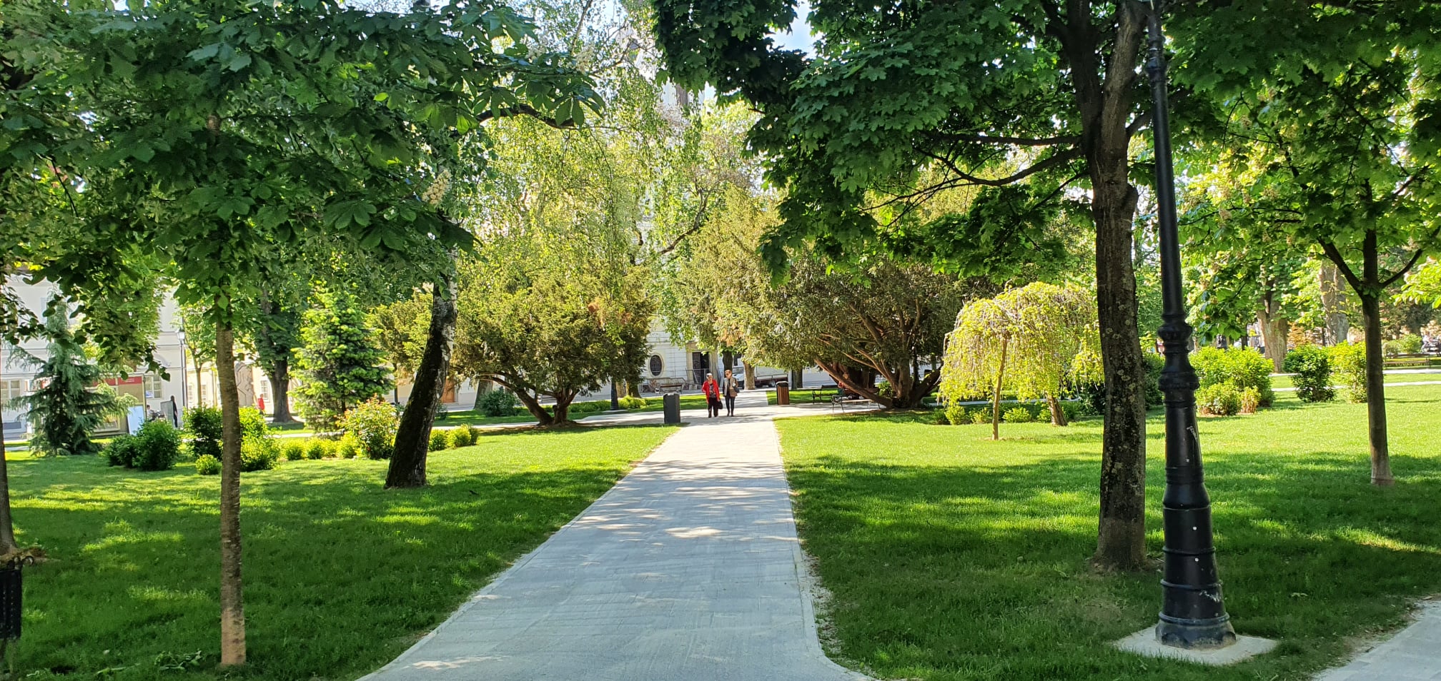 Borba za održavanje zelenila se nastavlja, Binđo se žalio na Grad Bjelovar, evo što kaže Državna komisija!