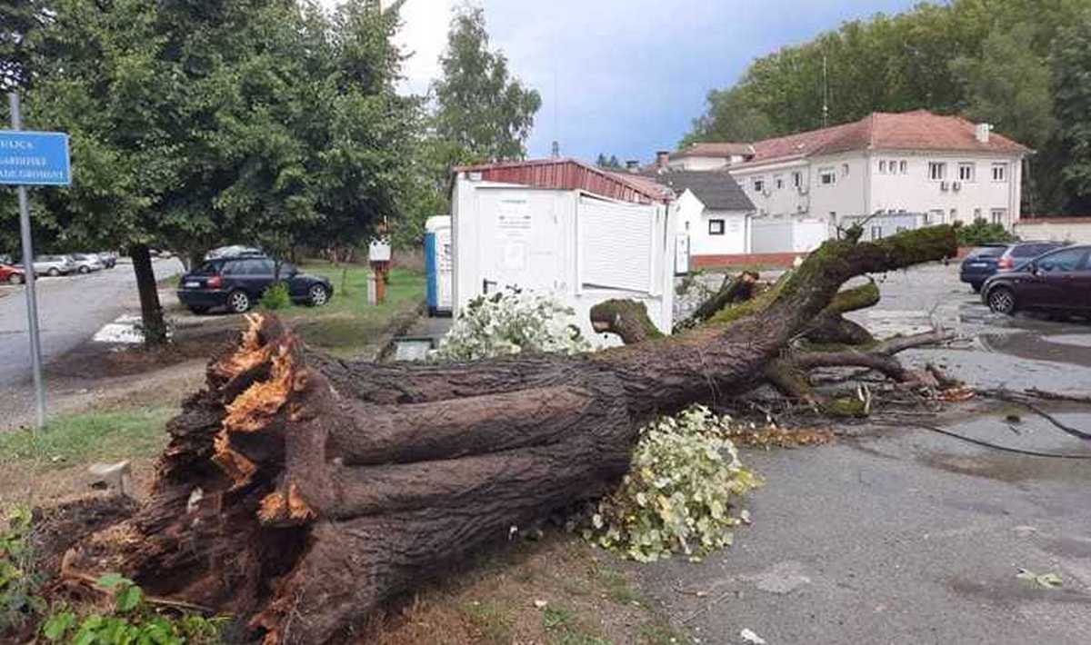 Padala stabla, nastradala krovišta, štetu pretrpio i prvi županijski vatrogasac