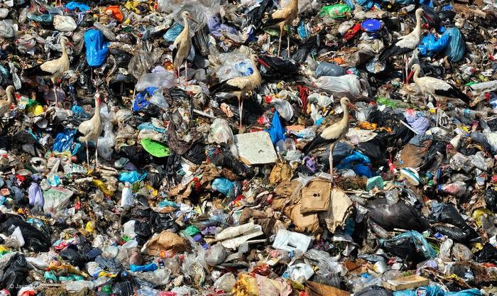 Stvorili smo četiri puta više plastičnog otpada od težine svih živih bića na zemlji