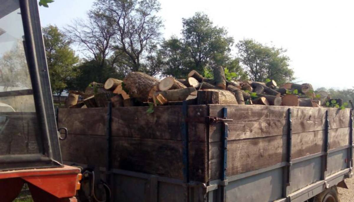 Trojac trpao ukradena drva u kombi njemačke registracije