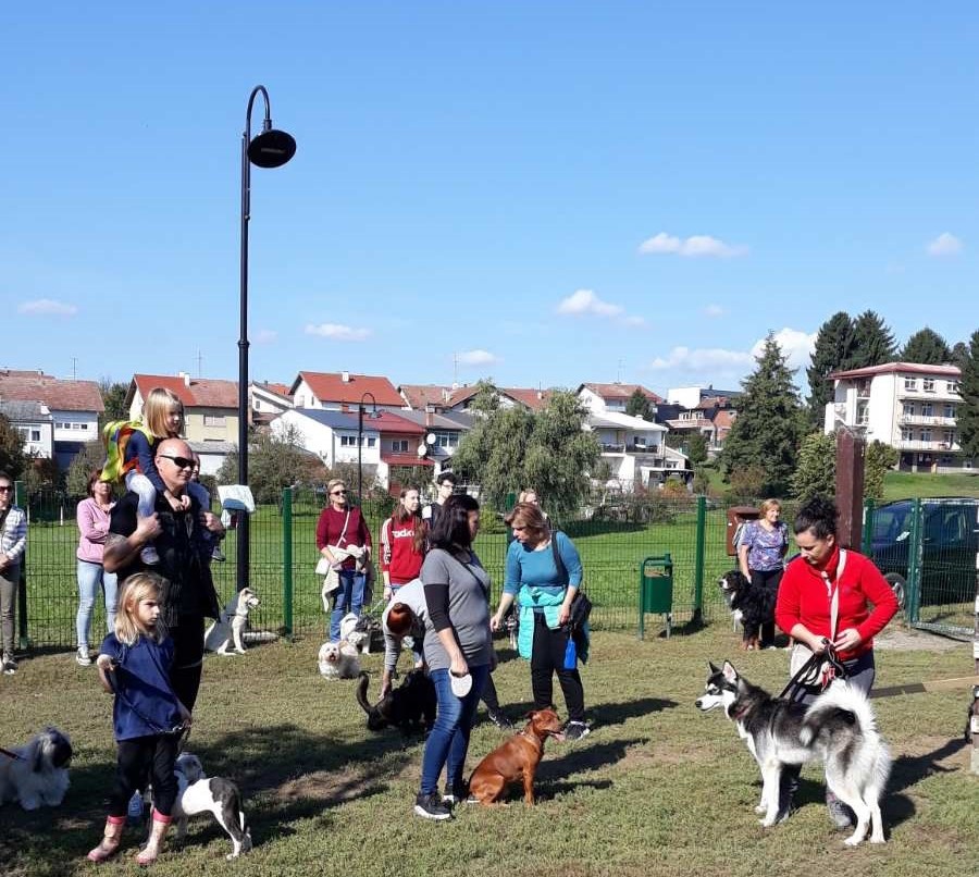 U Bjelovaru kreće tečaj obuke pasa