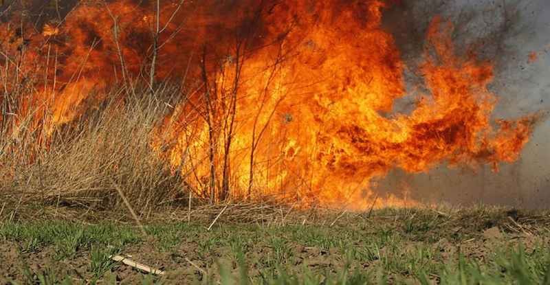 Umirovljenica (69) spaljivala travnati otpad i izazvala požar. Vatrogasci izašli na teren