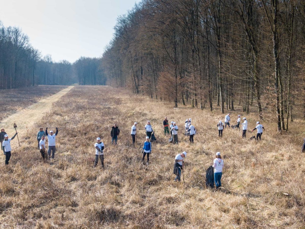 [FOTO] Djelatnici Kronospana i Hrvatskih šuma sade tisuće komada hrasta lužnjaka