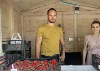 Na korzo stigle prve jagode, sočne, slatke i ne preskupe