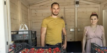 Na korzo stigle prve jagode, sočne, slatke i ne preskupe