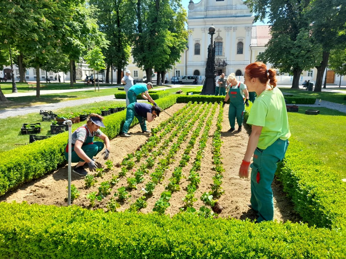 Proljetna sadnja cvijeća u središnjem parku. Evo što će uskoro krasiti centar grada