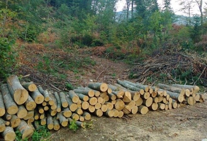 Radnik u šumi zadobio teške tjelesne ozljede opasne po život