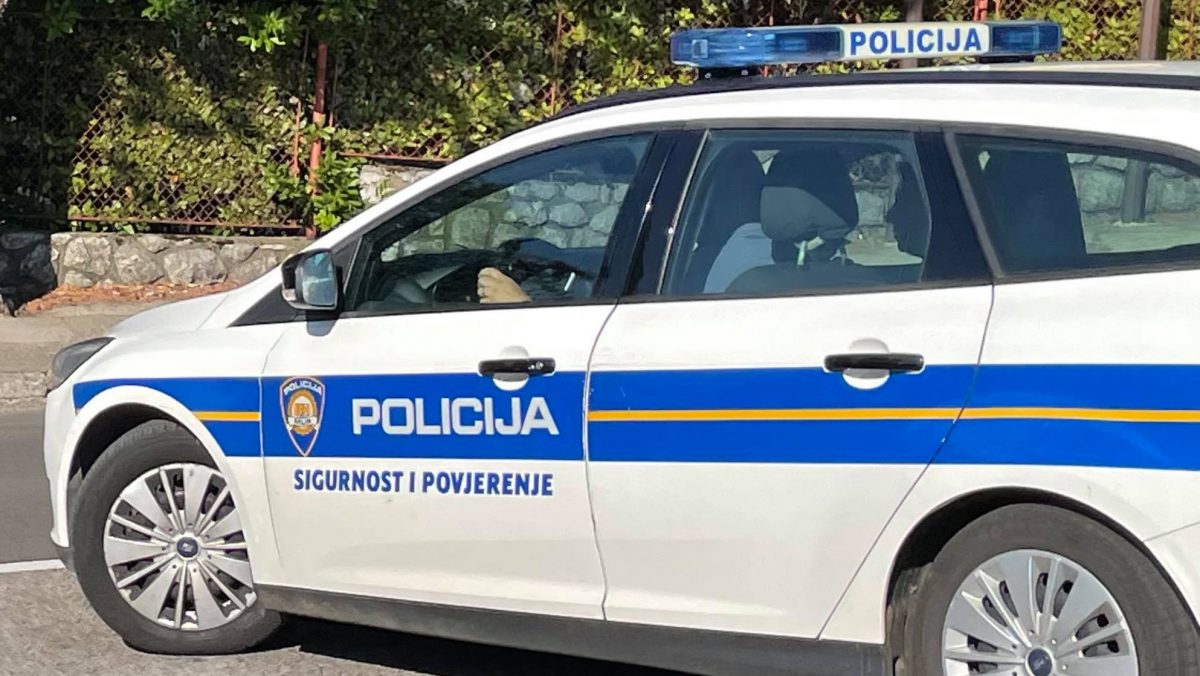 Uhićena osoba koja je automobilom naletjela na mladića u Palešniku i ostavila ga da umre