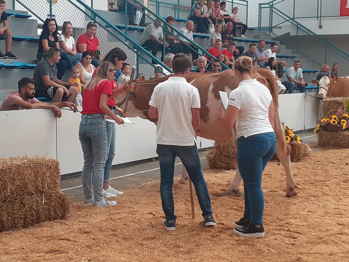 Studenti se natjecali u ocjenjivanju vanjštine krava