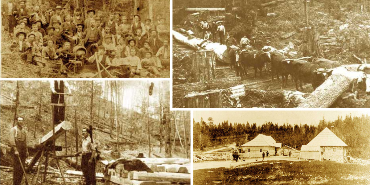 250 godina organiziranog šumarstva u Republici Hrvatskoj