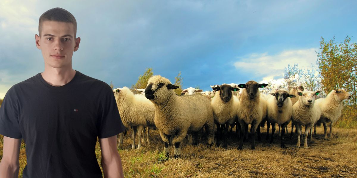 Ovčari godinama ne znaju kamo s vunom. Ovaj mladić sada im nudi rješenje od kojeg svi mogu zaraditi!