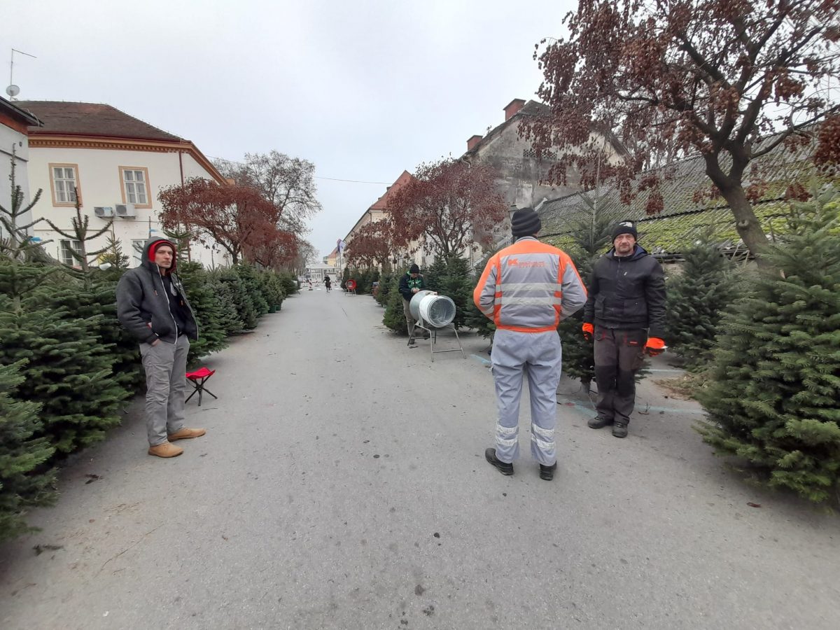 Počela prodaja božićnih drvaca u centru grada