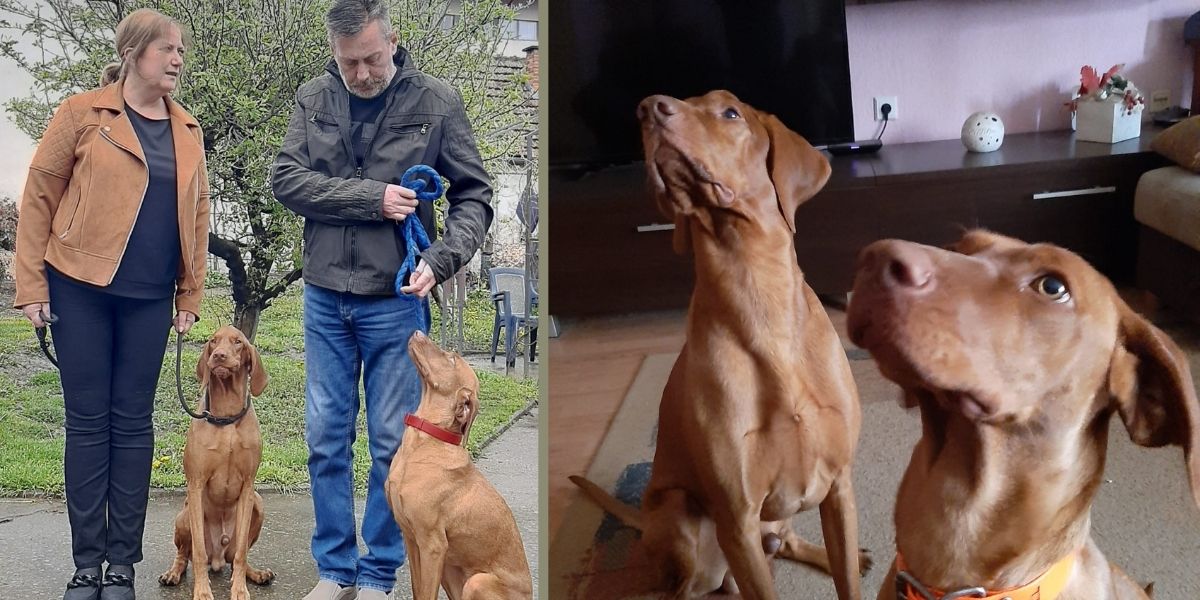 Kakva slučajnost: Supružnici Nemčić i njihovi psi rođendane slave na iste datume!