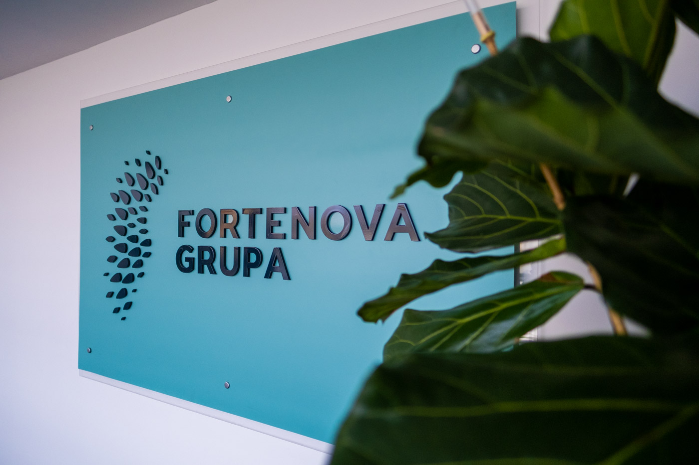 Prodaje se Fortenova Grupa