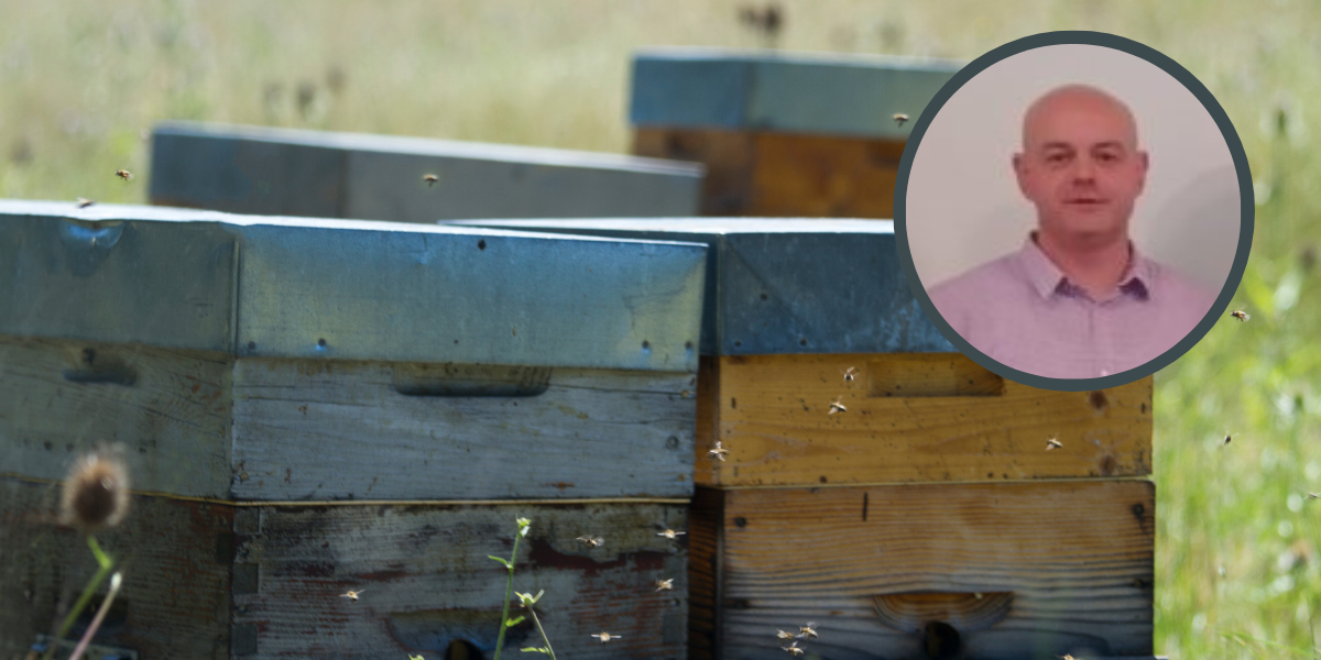 Bez potpora grada i županije, pčelarska godina zbog vremenskih bi uvjeta već propala