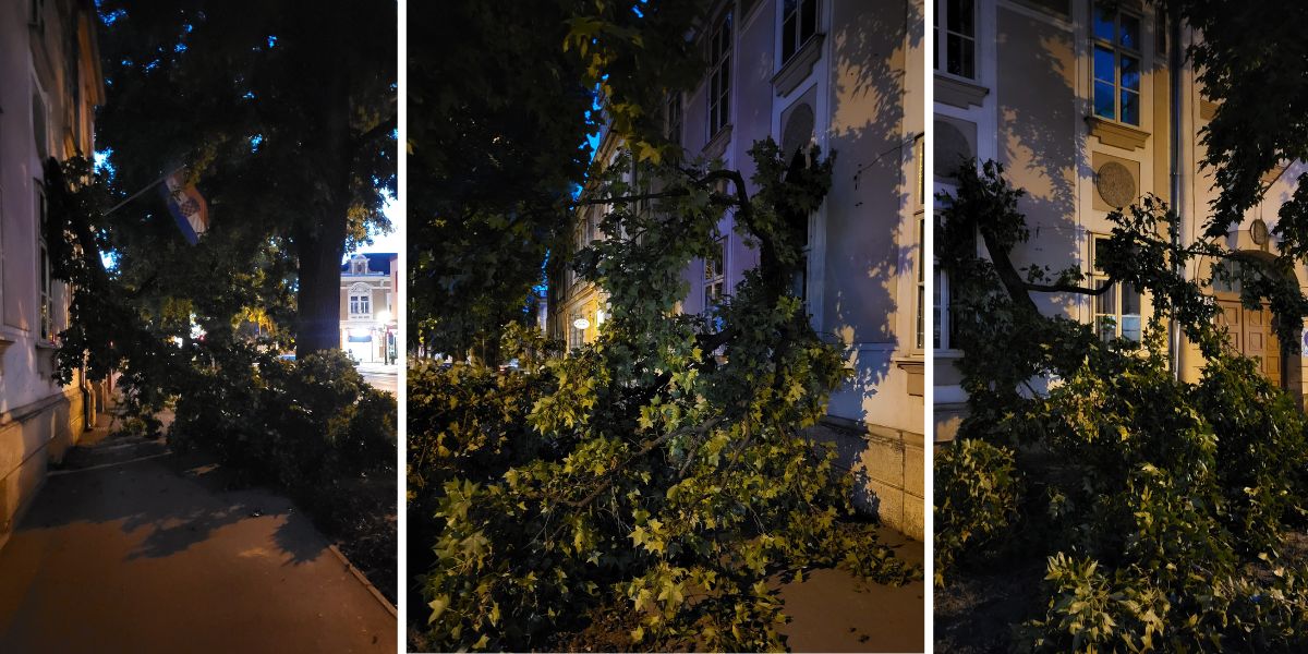 [FOTO] Velika grana pala na pješačku stazu u strogom centru grada. Samo srećom nitko nije stradao...