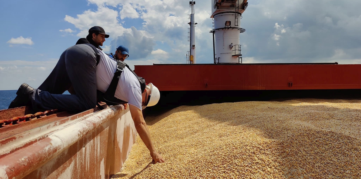 Ukrajinsko žito ubuduće će se izvoziti preko hrvatskih luka!