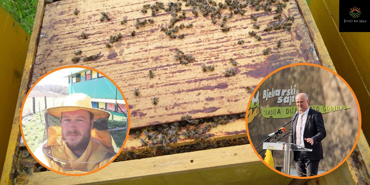 Država obeštetila pčelare, ali bez ovoga pomor će se sigurno ponoviti