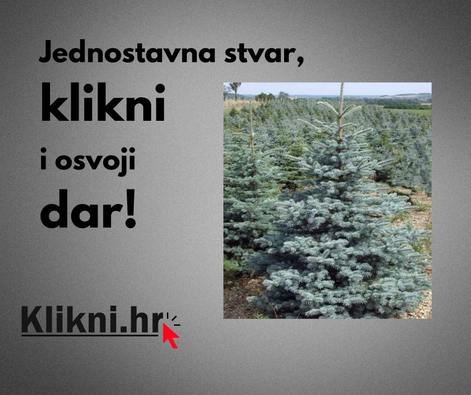 Čitaj Klikni.hr i osvoji božićno drvce!