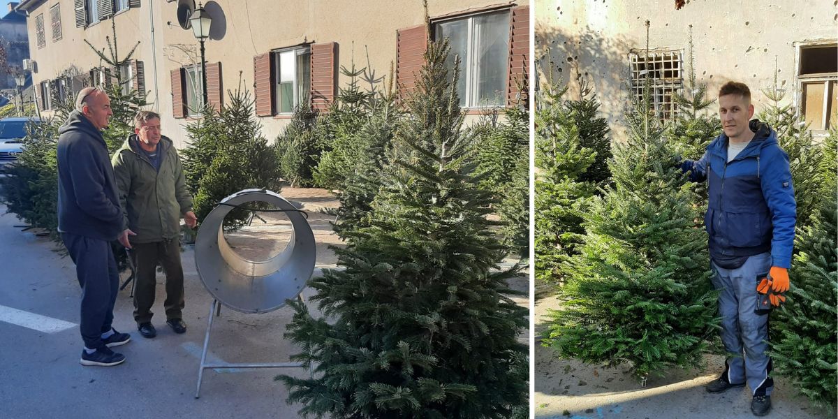 [FOTO] U centru Bjelovara počela prodaja božićnih drvaca. Evo koje su cijene...