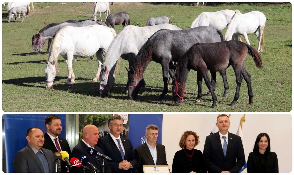 Ergeli lipicanaca, ponosu Lipika i Hrvatske, dodijeljena UNESCO-va povelja