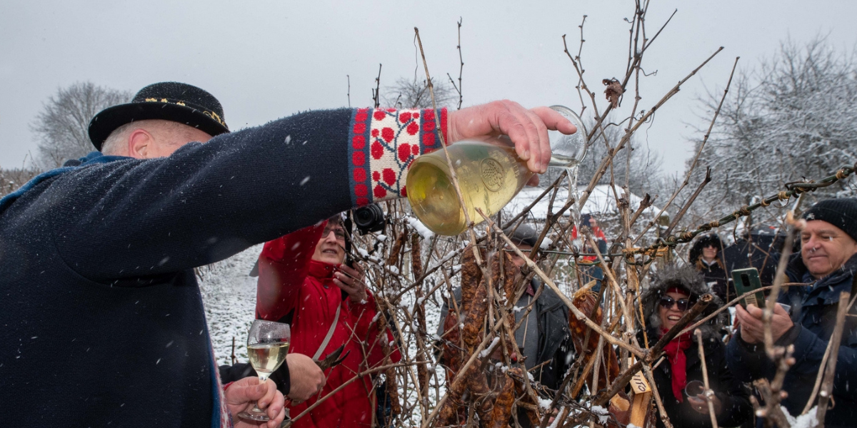 Vinogradari u novu vinogradarsku godinu ulaze svečano