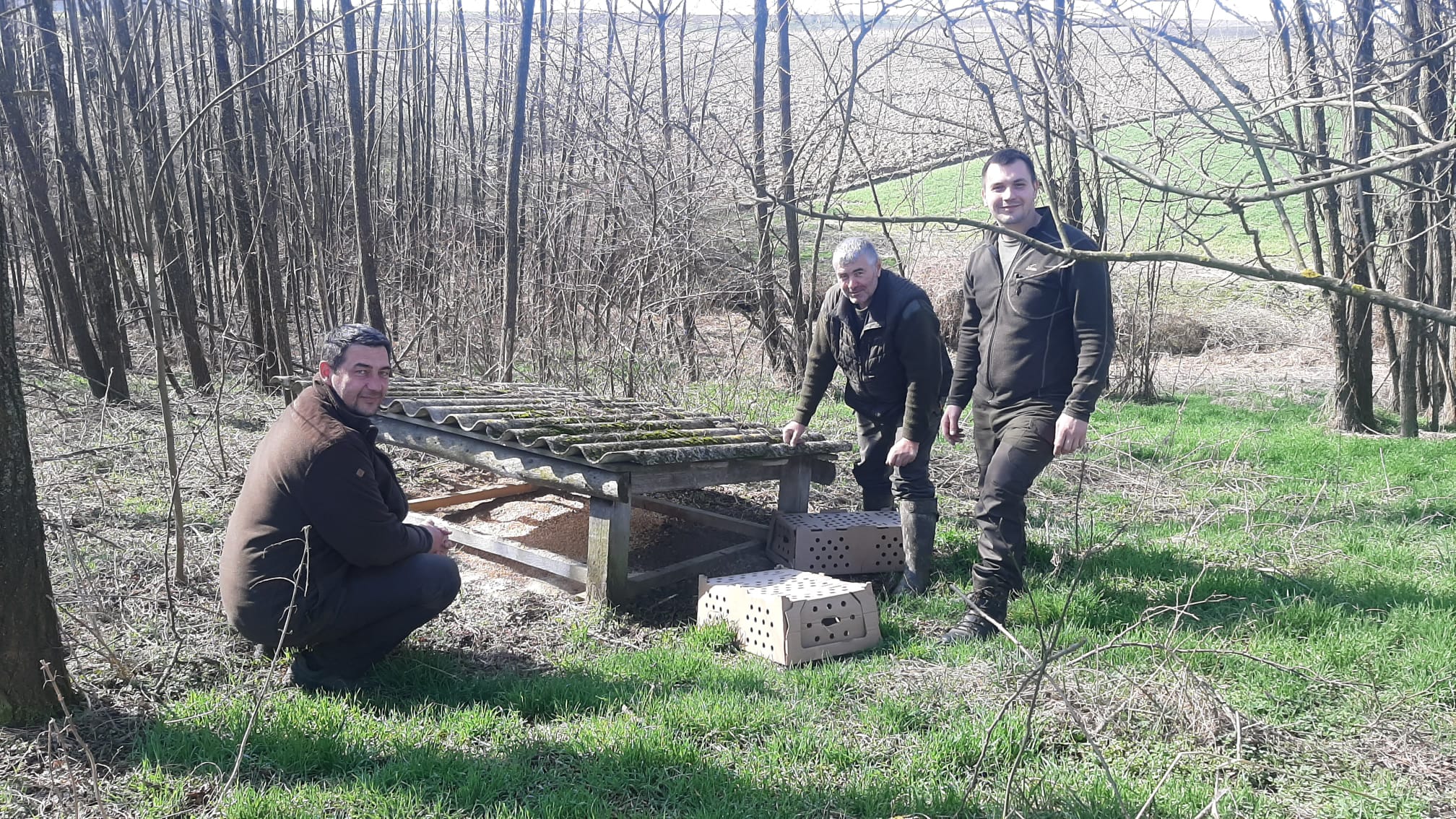 [FOTO/VIDEO] S lovcima smo na slobodu puštali 20-ak poljskih jarebica: ‘Više ih gotovo nema, pokušavamo to promijeniti’