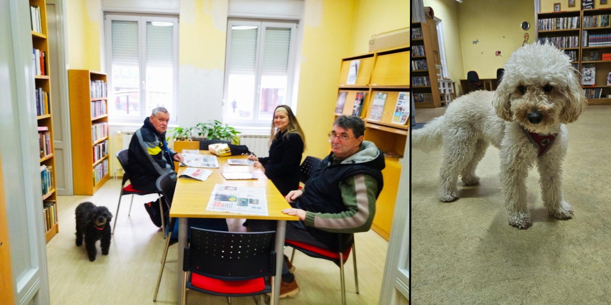 U daruvarskoj knjižnici psi su dobrodošli, a ravnateljicu prepoznaju i kada ju sretnu u parku