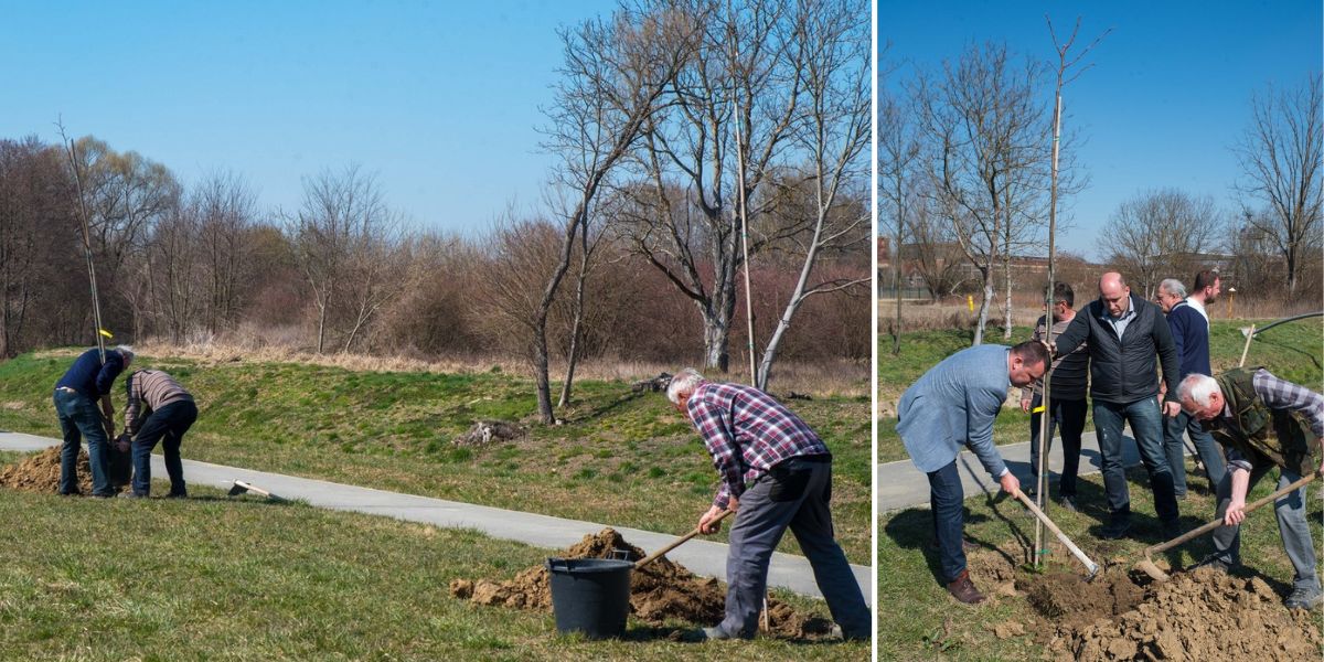 Popularna šetnica postat će predivna zelena oaza. Sutra sadnja novih 25 lipa...