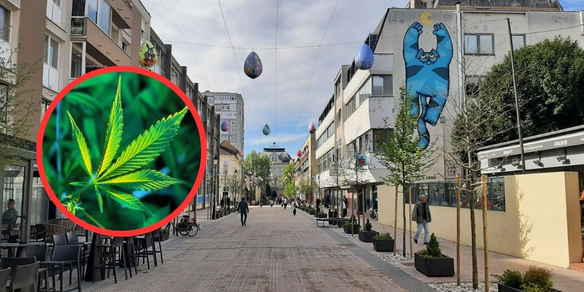 Nijemci su legalizirali marihuanu. Pitali smo Bjelovarčane što misle o toj odluci