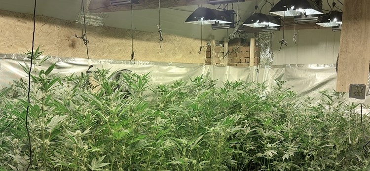 Pretragom kuće otkrivena oprema za uzgoj marihuane