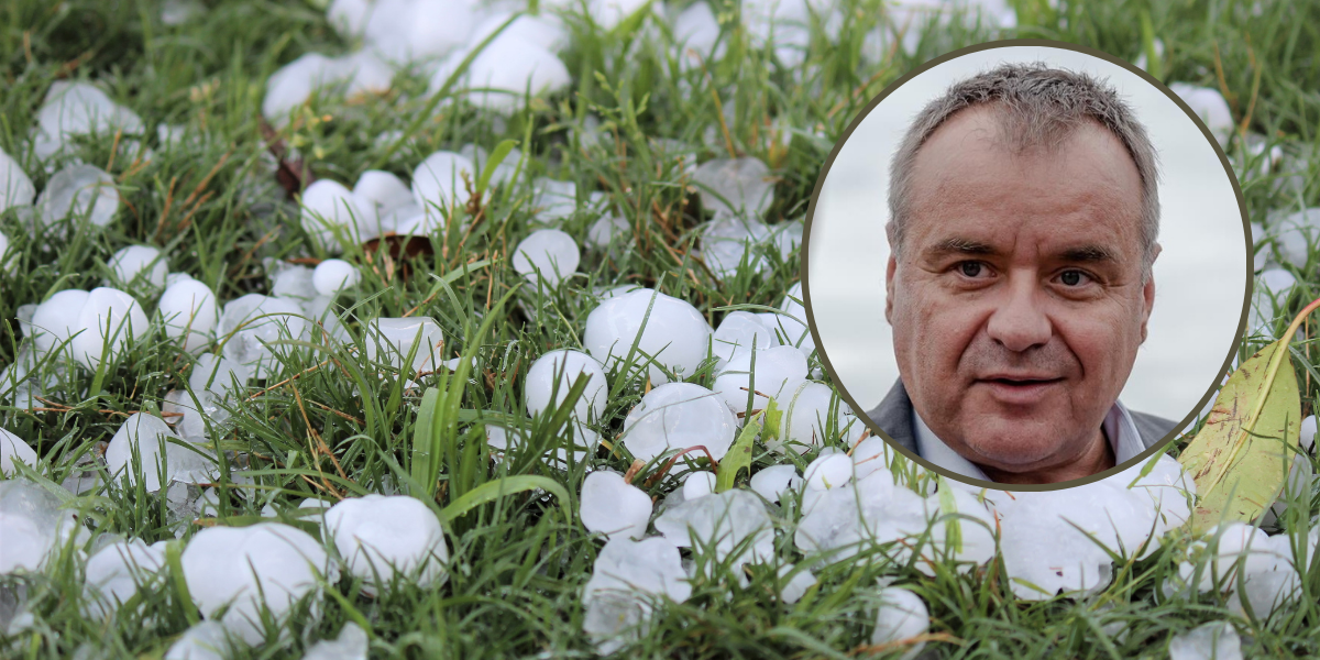 Čazmanci se zbog tuče koja je poharala polja nadaju odšteti