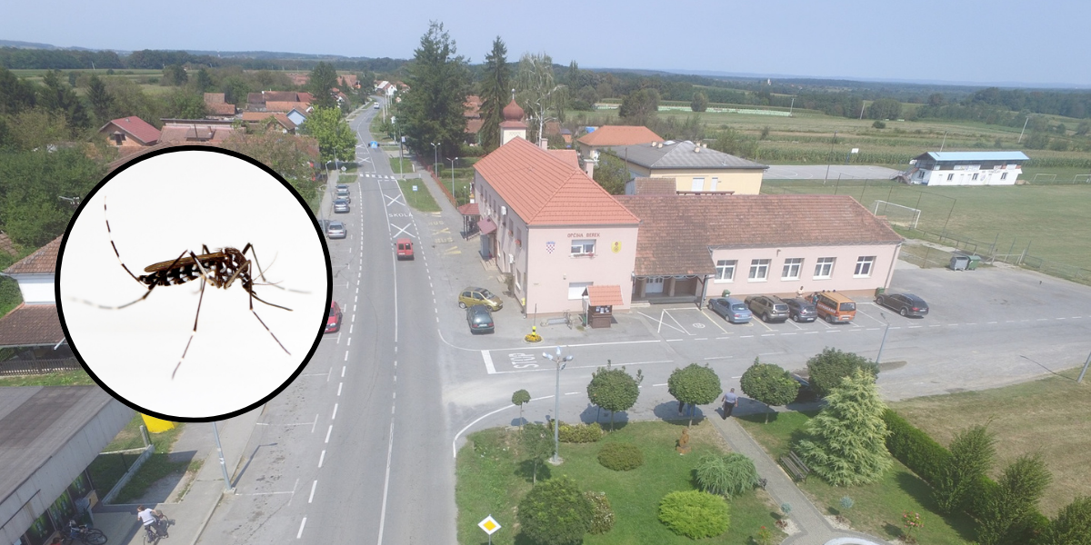 U Bereku se bore s komarcima, a već su provedene i dvije dezinsekcije