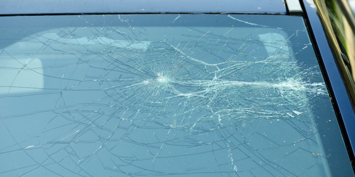 Iskustvo vozačice: Ako vam padne grana na automobil, nemojte ni slučajno tužiti Općinu
