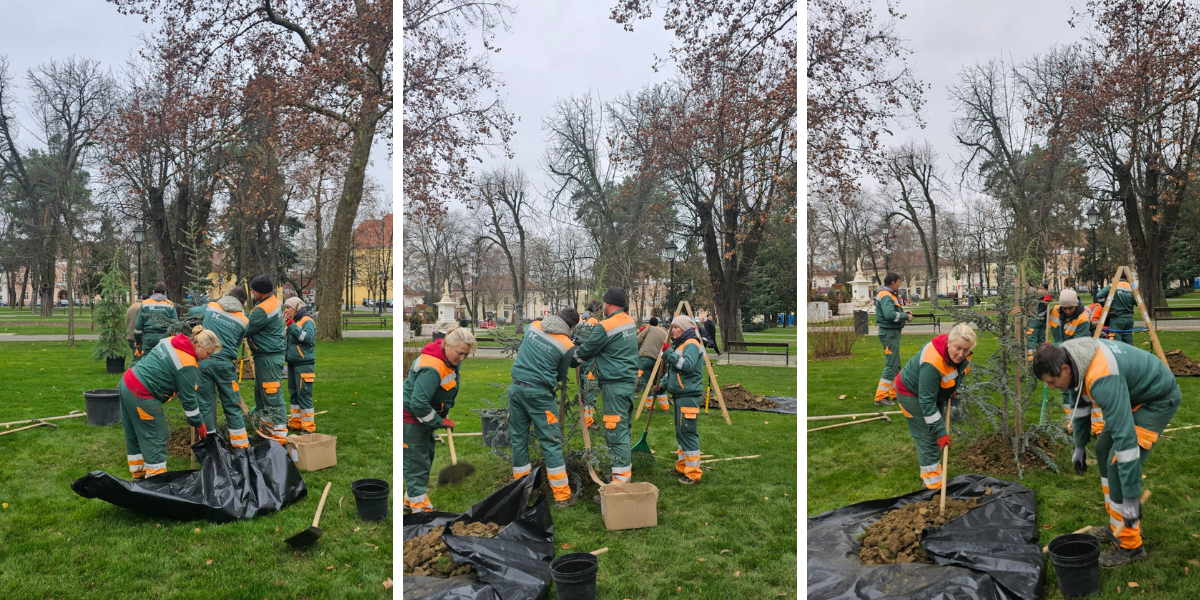 U park stiglo novo drveće: Pogledajte što se sada sadi