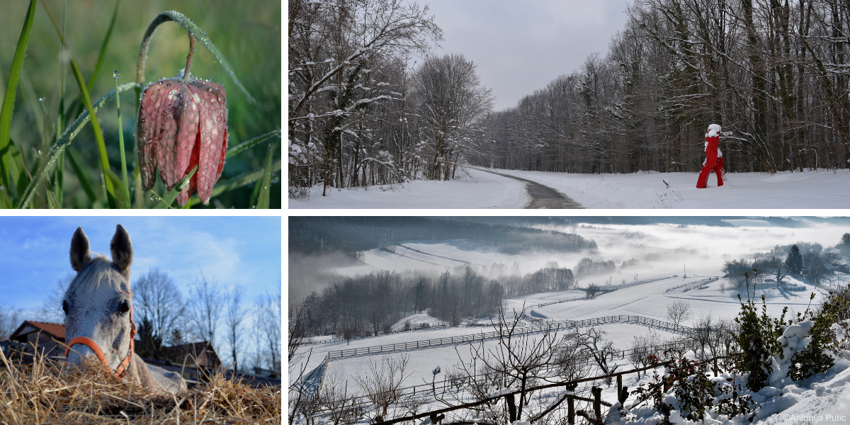 Dobar glas o Bilogori daleko se čuje – Otkrijte njezinu ljepotu kroz objektiv sjajne fotografkinje