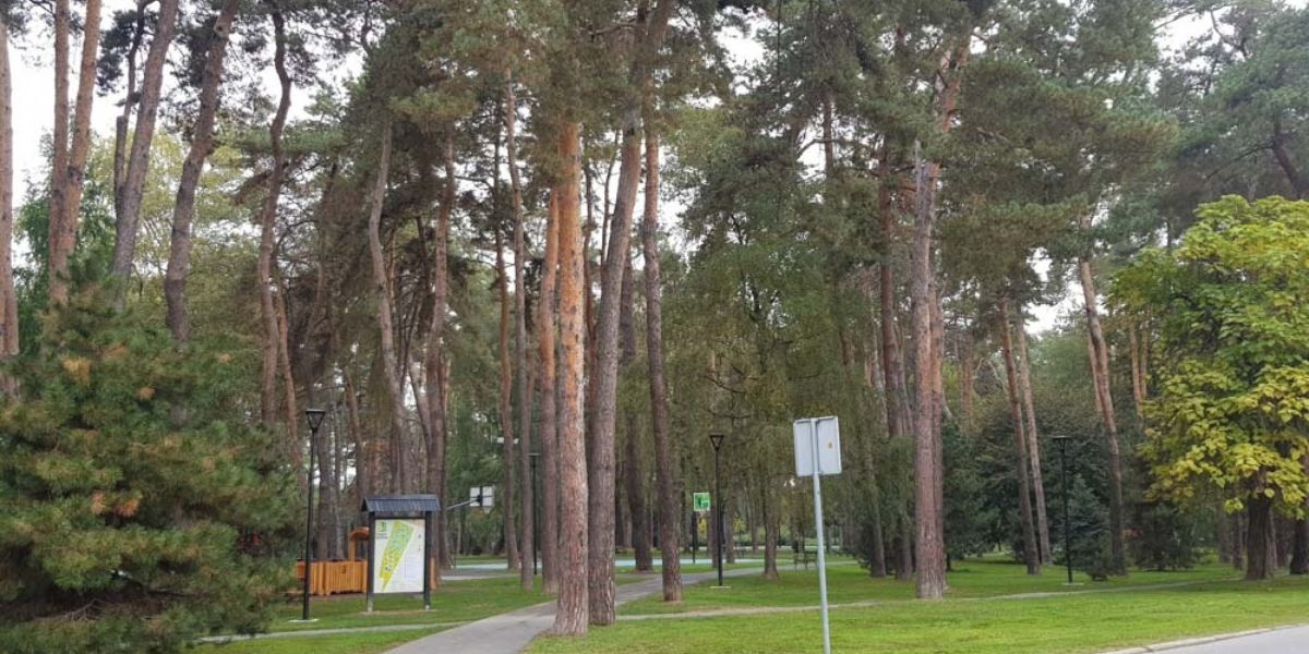 Dijete uvrijedilo gospođu, a zbog onoga što mu je odgovorila završila je na sudu