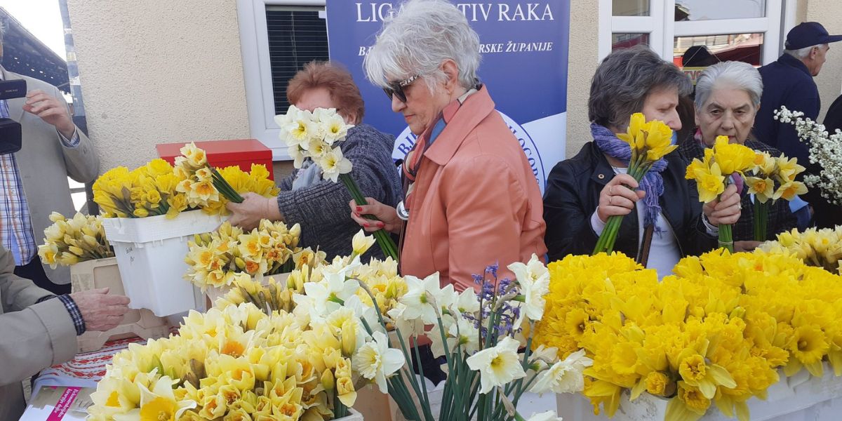 Cvijet koji život znači: Liga prikuplja novac za donaciju tumorskih markera, odazovite se
