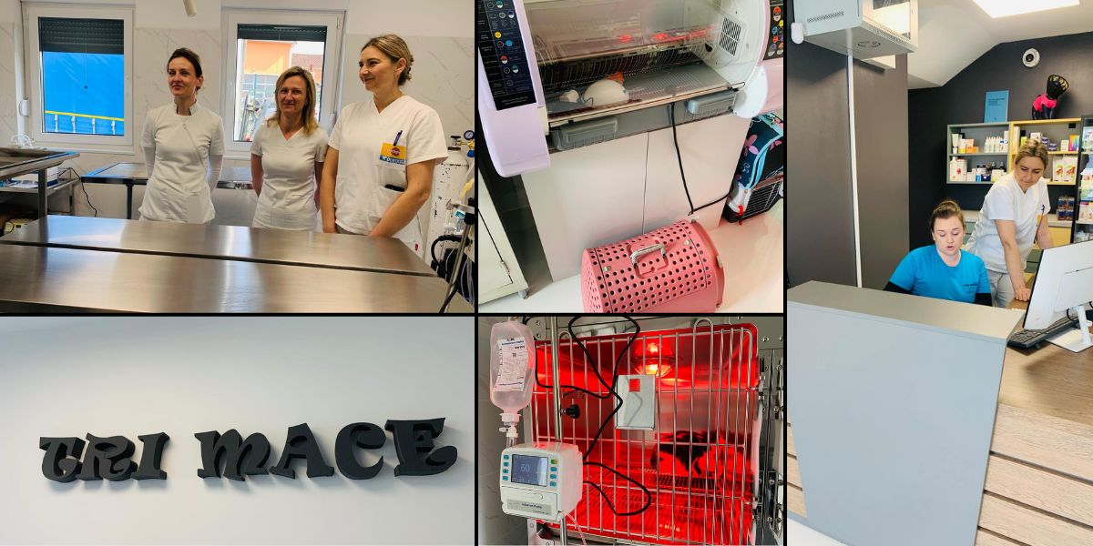 [FOTO] Hrabre "Tri mace" otvorile vrata ambulante, kućnim ljubimcima pružat će vrhunsku uslugu