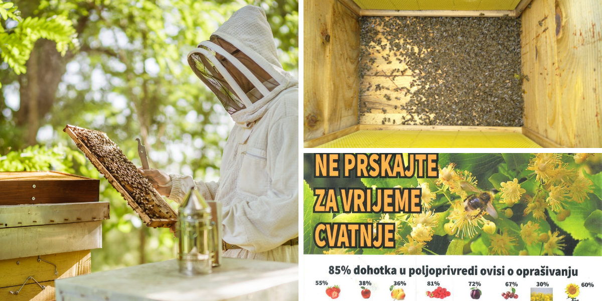 Kako izbjeći ponavljanje mučnih scenarija trovanja pčela? Ovo su zlatna pravila na koja se ne smije zaboraviti