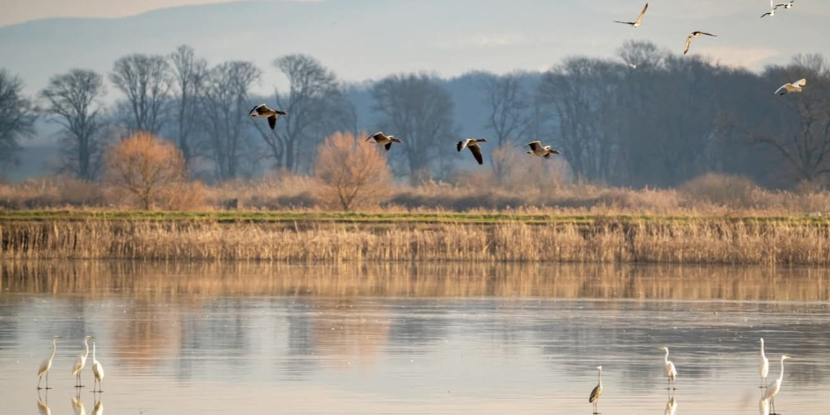 Odgođen početak sezone šetanja po Poilovlju, ovo je glavni razlog